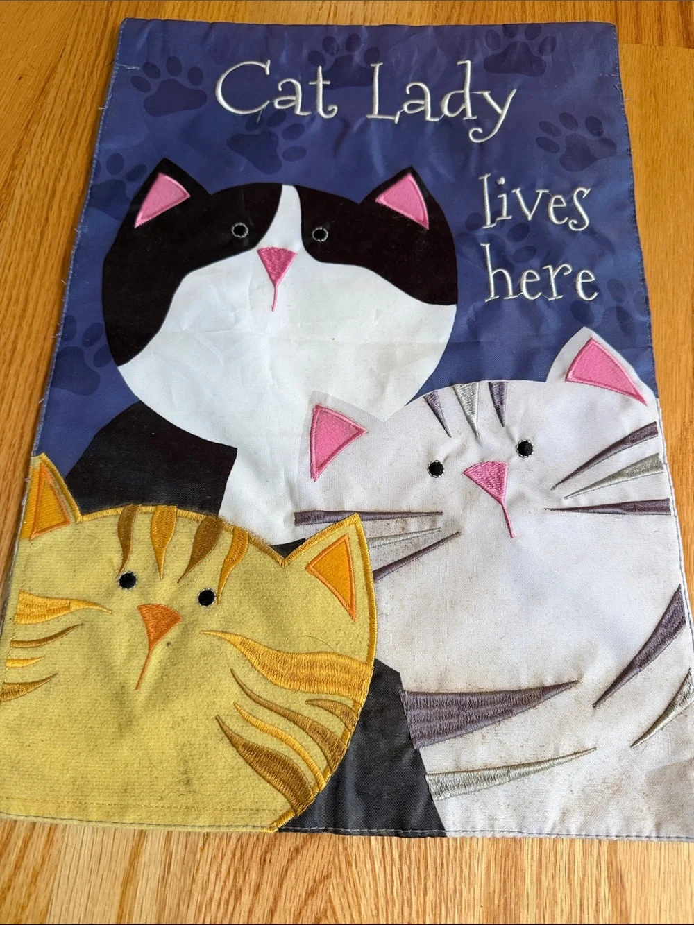 Cat Lady & Spoiled Cats Decorative Garden Flags - Blue, Multicolor